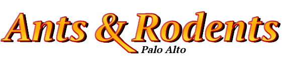 Palo Alto Ant Exterminator & Rodent Control Company Logo
